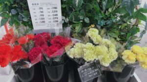 カーネション、ユニクロフラワー店舗