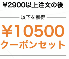 2900円以上注文で10500円クーポンバンドル(クーポンセット)